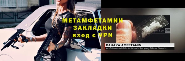 сатива Каменногорск
