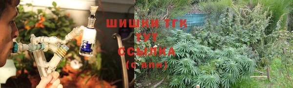 кристаллы Инта