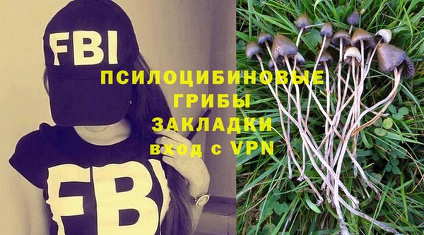кристаллы Инта