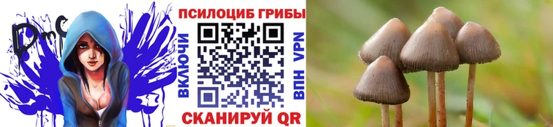 Псилоцибиновые грибы MAGIC MUSHROOMS  Каменка 